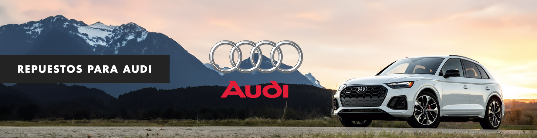 Repuestos para AUDI